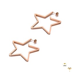 Luxury 18K Rose Gold Plated Stainless Steel Open Hollow Out Star Punk Style Earrings High Street Quality